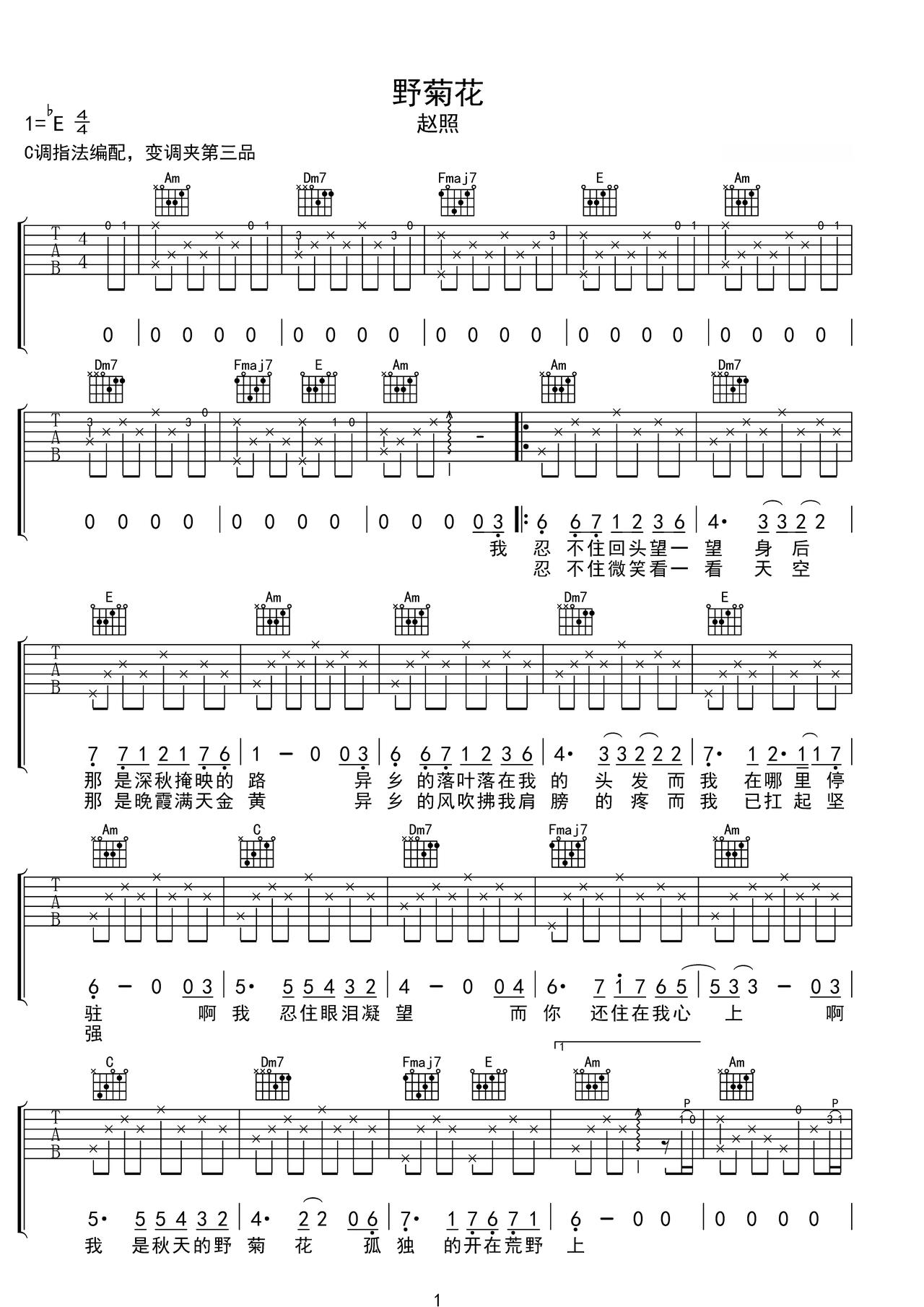 《野菊花》吉他简谱C调弹唱谱赵照